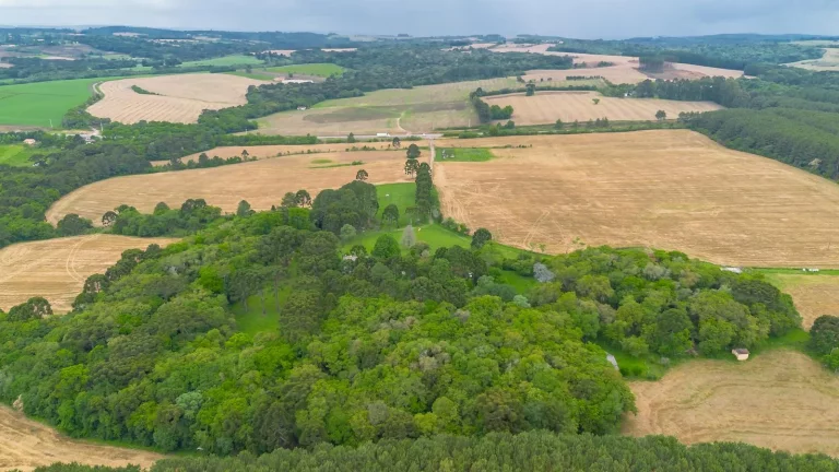 Imagem Sítio à venda na Lapa Paraná