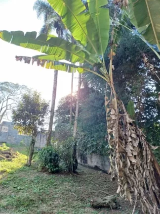 Imagem Chácara com 1 dormitório à venda, 800 m² por R$ 280.000,00 - Ipelândia - Suzano/SP
