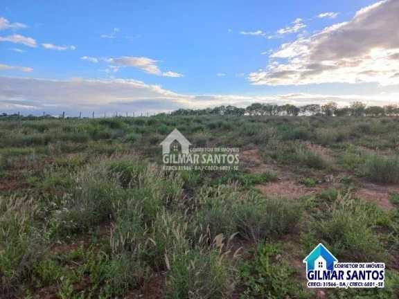 Imagem Lote/Terreno no bairro zona rural, em Coronel João Sá