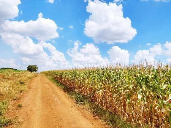 Imagem Venda, área industrial, bairro Bonfim, em Paulínia!
Zoneamento ZD 1 (zona de desenvolvimento indus...