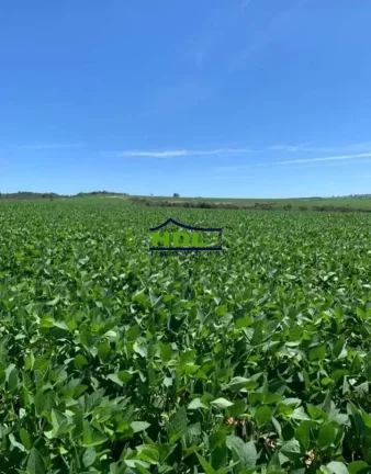 Imagem Fazenda em Pires do Rio com 75 Alqs em Lavouras.