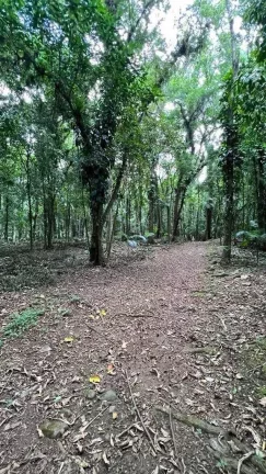 Imagem Chácara com casa de 3 dormitórios sendo 2 suítes e 8 vagas - Quiriri | Joinville/SC