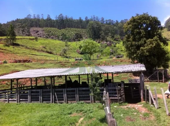 Imagem Fazenda de 48 Alqueires à Venda em Piracaia: Oportunidade Única