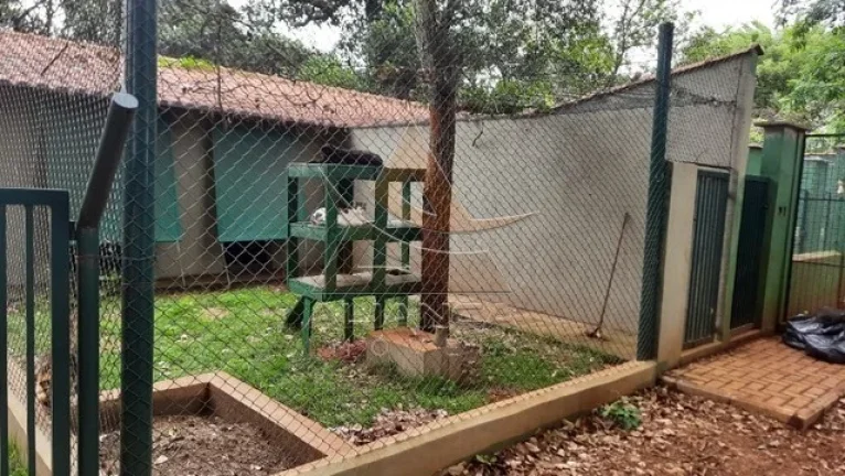 Imagem Chácara - Ribeirão Preto - Itanhangá