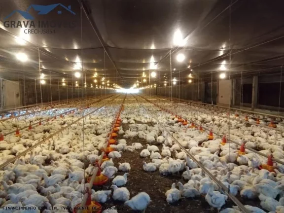 Imagem Granja para Venda em Flórida, Florida, 4 dormitórios, 2 banheiros, 3 vagas