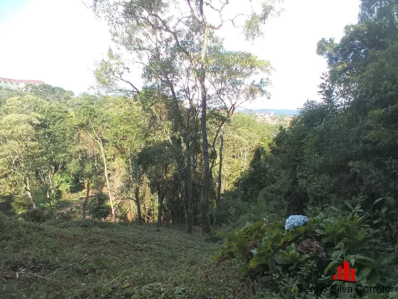 Imagem Terreno a Venda Com 3.138,00 m², Região do Morro do Elefante.