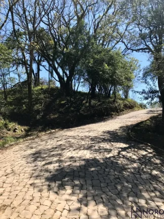 Imagem Terreno 1.562m² em Silveira Martins - RS