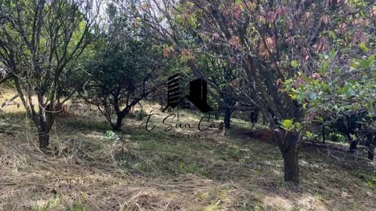 Imagem Lote/Terreno à Venda Chácara Cotia (Cabral) Contagem MG