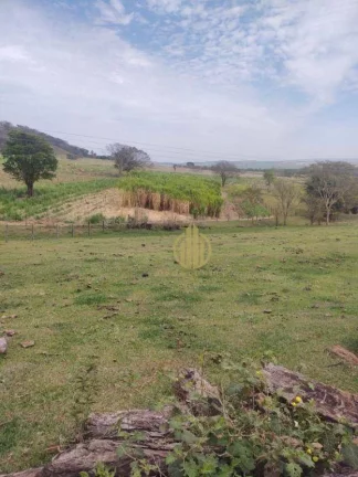 Fazenda com 3 dormitórios à venda, 157300 m² por R$ 1.650.000,00 - Sao Simao - São Simão/SP