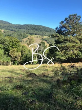 Imagem SITIO RURAL em SÃO FRANCISCO DE PAULA - RS, Padilha