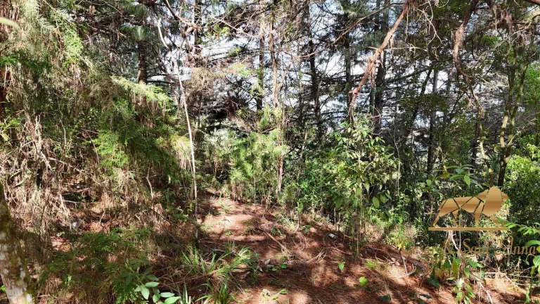 Imagem Terreno a venda em Campos do Jordão