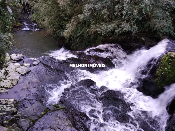 Imagem Fazenda/Sítio à Venda, 163000 m² em José Boiteux - SC