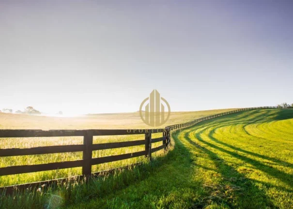 Imagem Fazenda à venda, 605000 m² por R$ 6.000.000,00 - Zona Rural - Patrocínio Paulista/SP