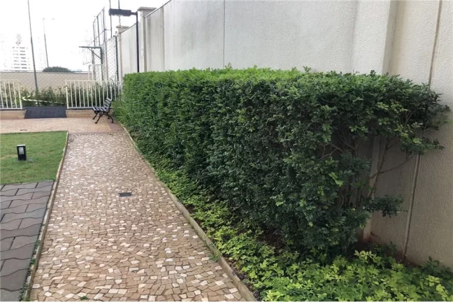 Imagem APARTAMENTO RESIDENCIAL em São Paulo - SP, Vila Santa Clara