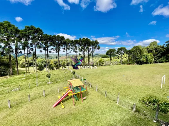 Imagem Chácara à venda no bairro Ana Rech - Caxias do Sul/RS