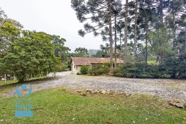 Imagem Belíssima Chácara com 3 dormitórios à venda, 6000 m² por R$ 1.400.000 - Salgadinho - Campo Largo/PR