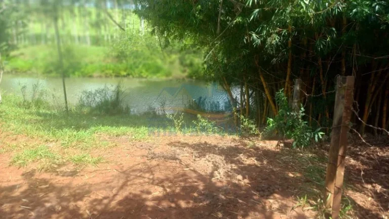 Imagem Rancho - Santo Antônio da Alegria - Poção