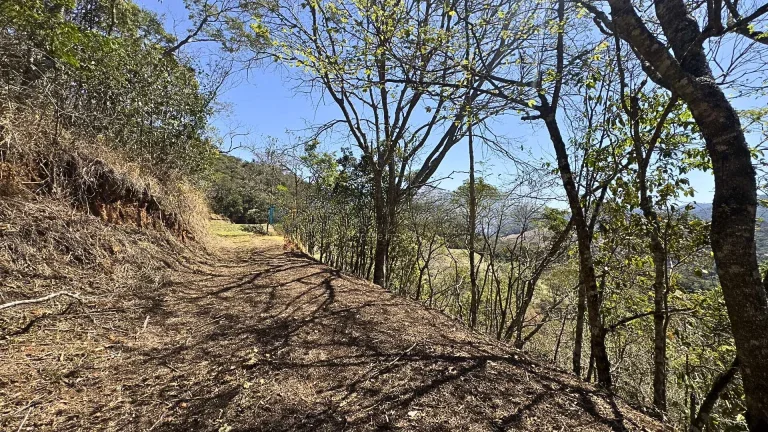 Imagem Exclusividade e Potencial Hoteleiro em Santo Antônio do Pinhal: 83.000 m² com Acesso 100% Asfaltado