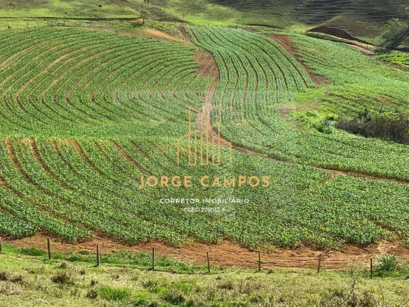 Imagem FA-26297 - FAZENDA À VENDA NA SÃO JOSÉ DO BARREIRO -SP