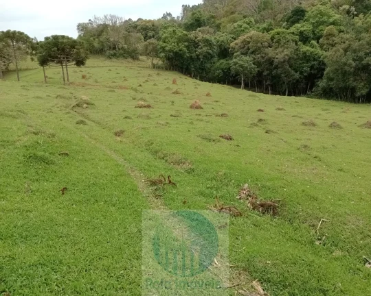Imagem Sítio 20 ha ou 8,26 alq. a venda, para café, gado Jacui Sul de Minas Gerais