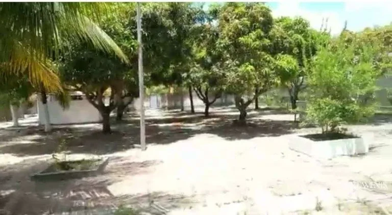 Imagem Casas e um verdadeiro sítio a Beira Mar na Praia de Lucena, você pode empreender