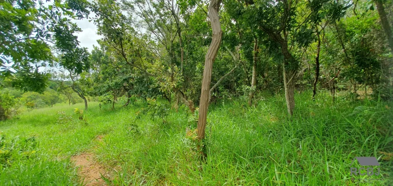 Imagem AREA RURAL em ESMERALDAS - MG, ANDIROBA