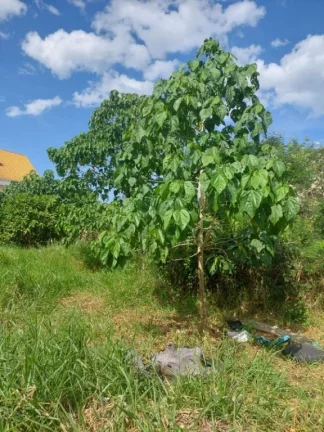 Imagem Terreno à venda, 175 m² por R$ 200.000,00 - Jardim Quaresmeira - Suzano/SP