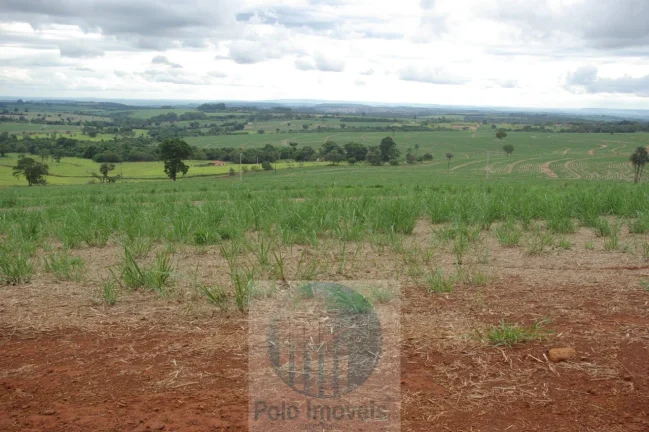 Fazenda em Cajuru 65,2254 alqueires com 35 alqueires em cana - a 78 km de Ribeirão Preto - SP sentido Casa Branca