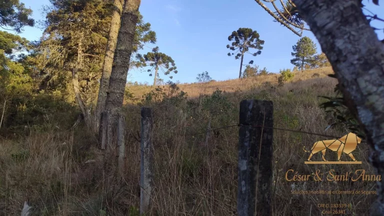 Imagem Terreno a venda nas montanhas de Campos do Jordão-SP