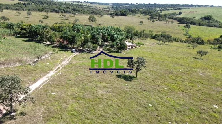 Imagem Chácara com 30,87 Hectares beira asfalto 85 kms de Goiânia