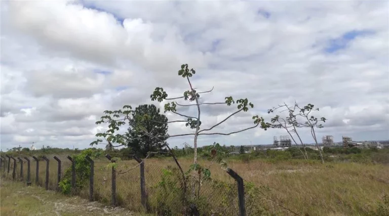 Imagem Terreno à Venda, 17.000 m² em Centro - Camaçari