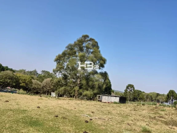 Imagem ÁREA A VENDA BOM JESUS DIVISA MONTE ALEGRE DOS CAMPOS RS