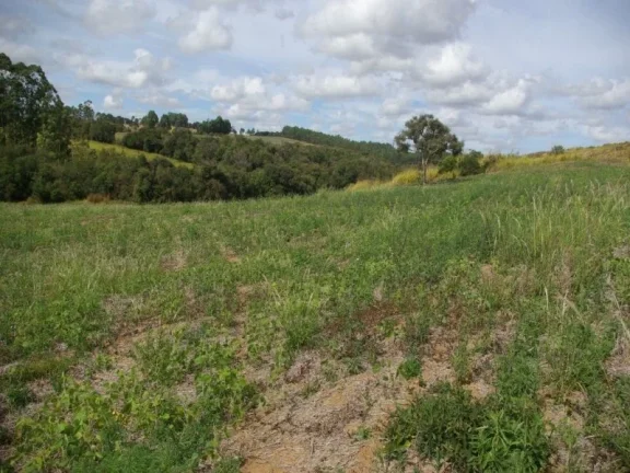 Imagem SÍTIO À VENDA 43,56 HECTARES R$ 1.900.000 - ZONA RURAL - JACUI/MG