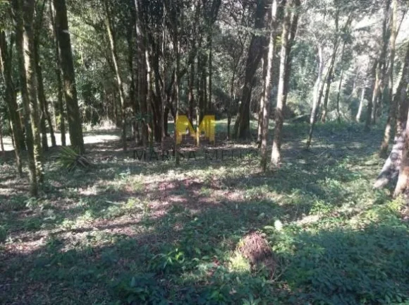 Imagem Chácara, 7000m2, à venda no Recreio da Serra em Piraquara!!!