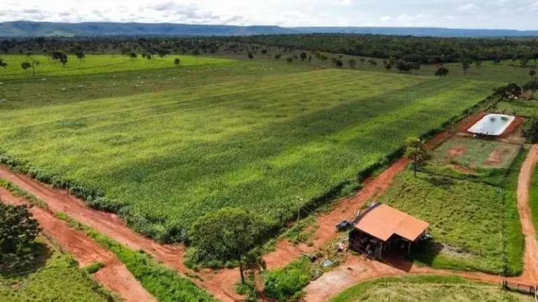 Imagem Oportunidade Única! Fazenda de Alto Potencial em Várzea da Palma - Conheça Agora!