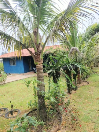 Imagem Área Rural com 2 Dormitorio(s) localizado(a) no bairro Parque das Varinhas em Mogi das Cruzes / Mato Grosso do Sul Ref.:4315