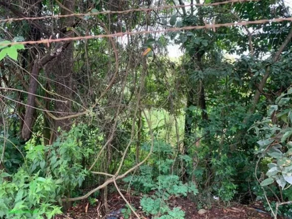 Imagem LOTE BARATO Á VENDA NO BAIRRO SATÉLITE!