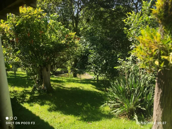 Imagem Sitio barato e com escriturta a venda na cidade de Cunha