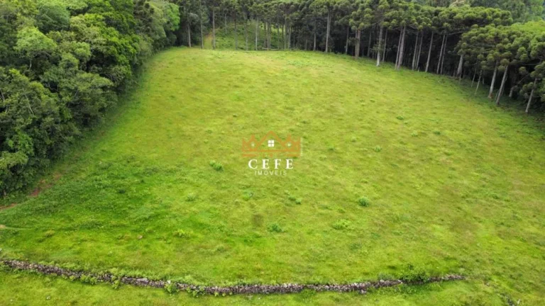 Imagem Chácara - Sítio com 3 Dormitorio(s) localizado(a) no bairro Zona Rural em Santa Maria do Herval / RIO GRANDE DO SUL Ref.:1545