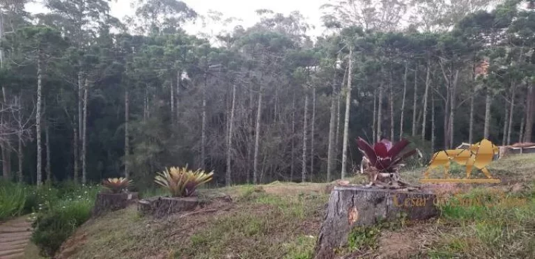 Imagem Terreno à venda, 1300 m² por R$ 1.250.000,00 - Campos Do Jordão - Campos do Jordão/SP