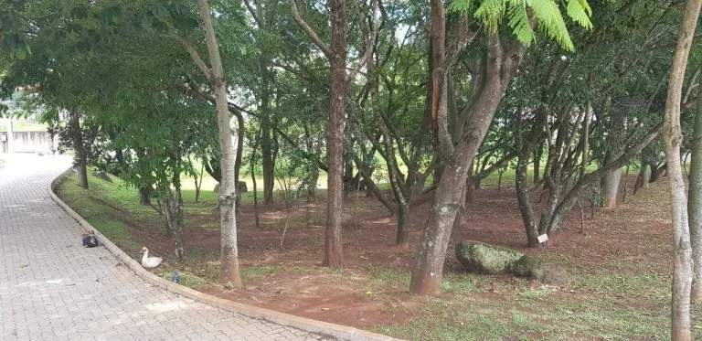 Imagem Casa com 3 dormitórios à venda, 340 m² por R$ 2.800.000,00 - Jardim Residencial Tivoli Park - Sorocaba/SP