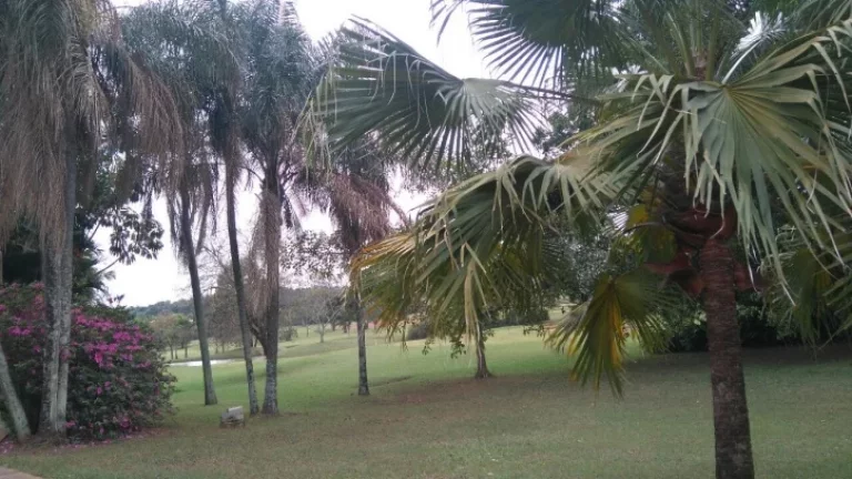 Imagem VENDA, TERRENO COND. RESIDENCIAL PALMAS DEL REY, 4.475,40 m²