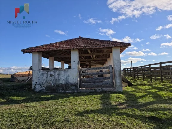 Imagem Sítio em Itapetininga SP