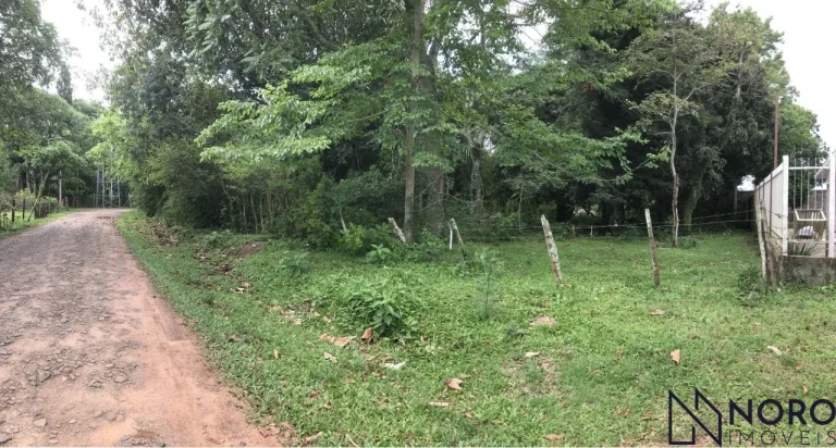 Imagem Terreno no Bairro Boi Morto