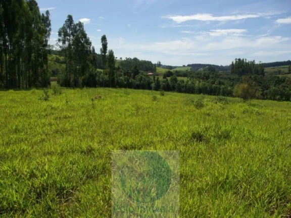 Imagem SÍTIO 11,21 ALQ. PAULISTA, CASA, ENERGIA, RIO - JACUÍ - SUL DE MINAS GERAIS