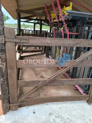 Imagem Fazenda à venda em Mineiros-GO: 150,00 alqueires na Área Rural de Mineiros
