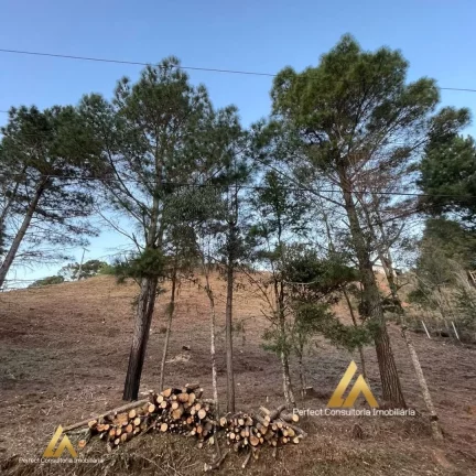 Imagem BELISSIMO TERRENO PARA VENDA EM CAMPOS DOS JORDAO /SP