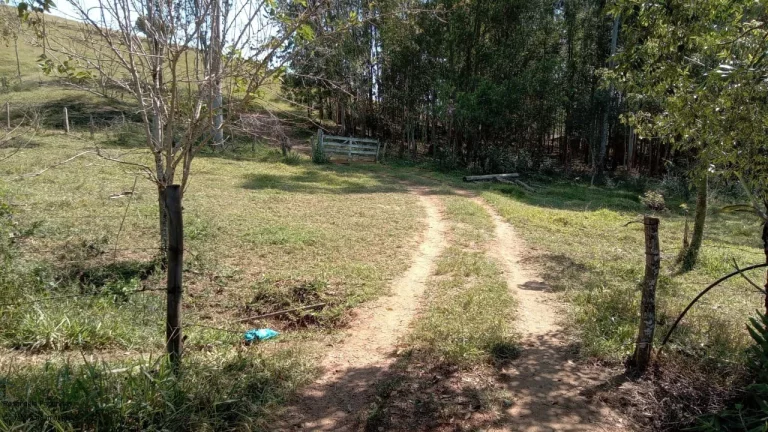 Imagem SITIO RURAL em CALDAS - MG, COROADO