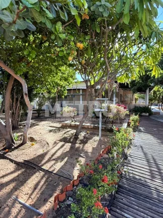 Imagem Chácara à venda na Estrada do Rodeadouro, 3 quartos, Gourmet, Piscina, Petrolina