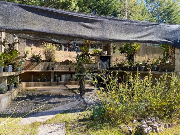 Imagem Casa à venda em Campos do Jordão - Chalé com 3 dormitórios